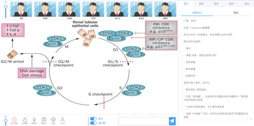 開發者實戰 不怕“網課又雙叒叕卡了”，在校生自建在線教育系統逆襲讓技術教育更高效